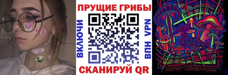 сколько стоит нарко площадка формула Псилоцибиновые грибы прущие грибы Салаир