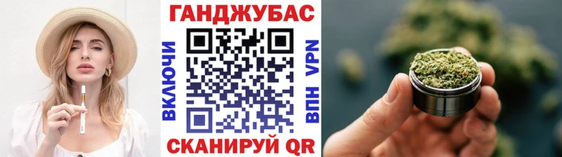 Каннабис сатива Салаир